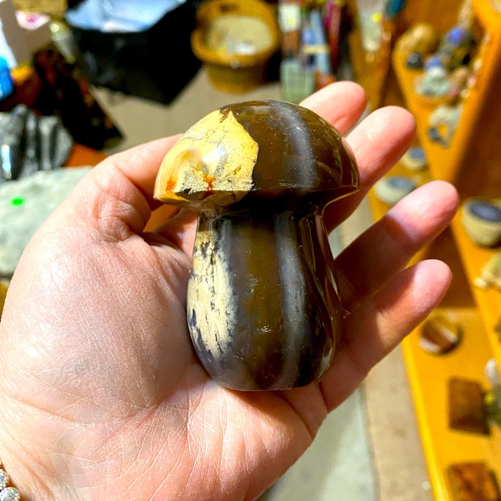 Ocean Jasper mushroom